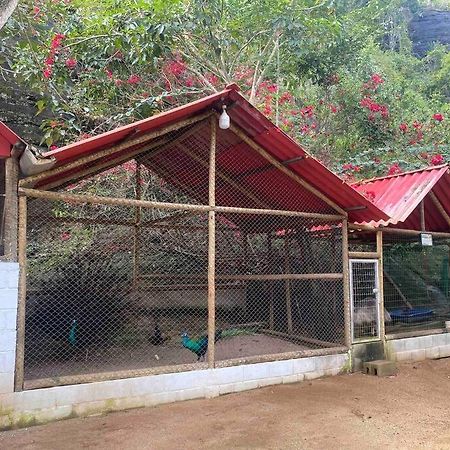 Sitio Familia Buscape @Sitiofamiliabuscape Villa Domingos Martins Exterior photo