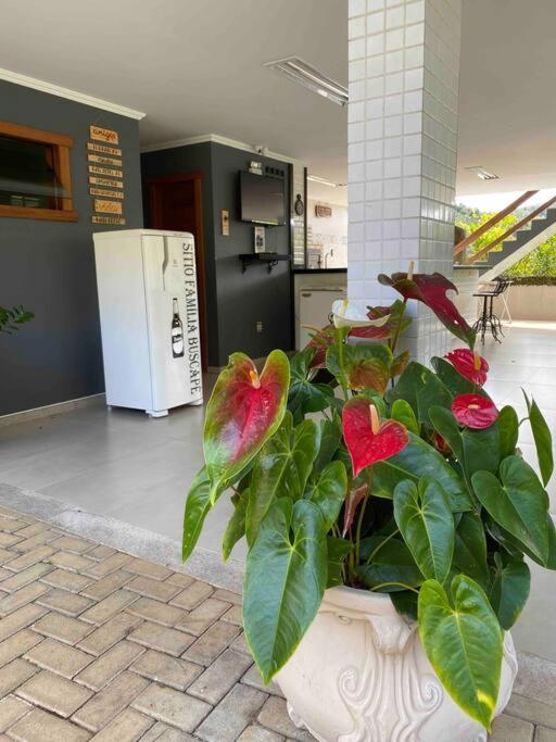 Sitio Familia Buscape @Sitiofamiliabuscape Villa Domingos Martins Exterior photo
