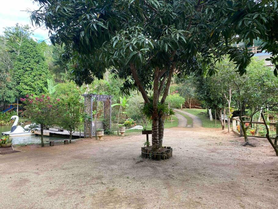 Sitio Familia Buscape @Sitiofamiliabuscape Villa Domingos Martins Exterior photo